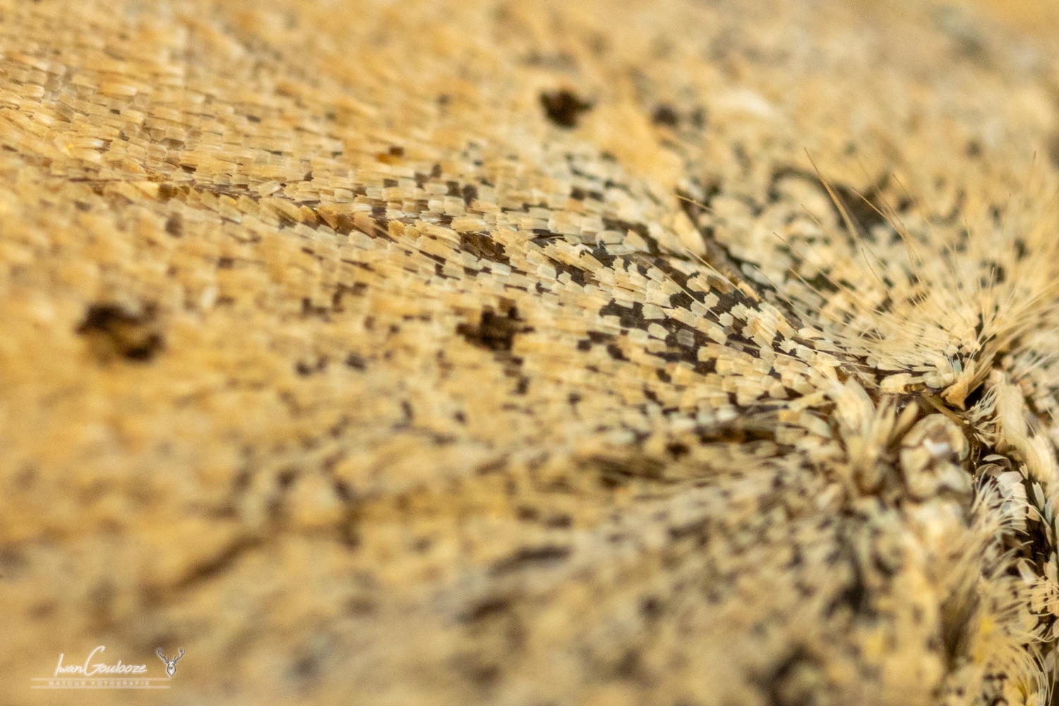 18 september 2023 123213  R2A6200